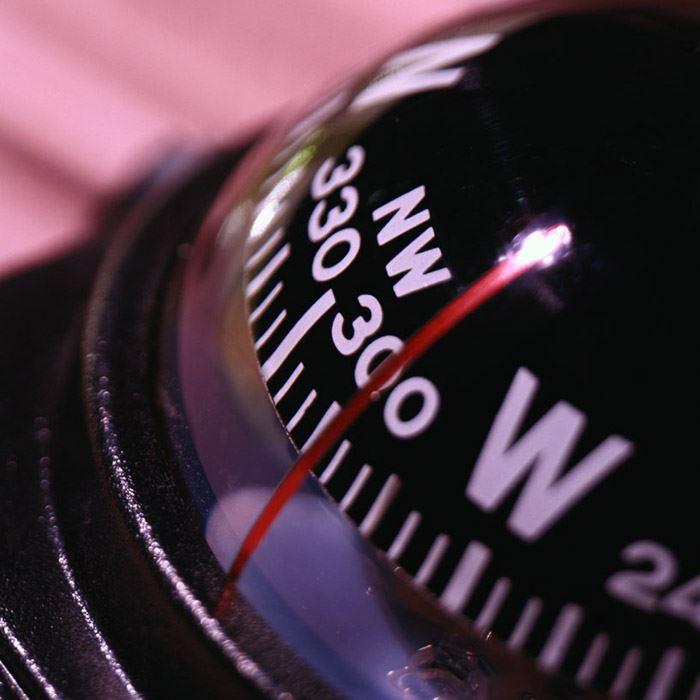 Nestschaukel Sitemap