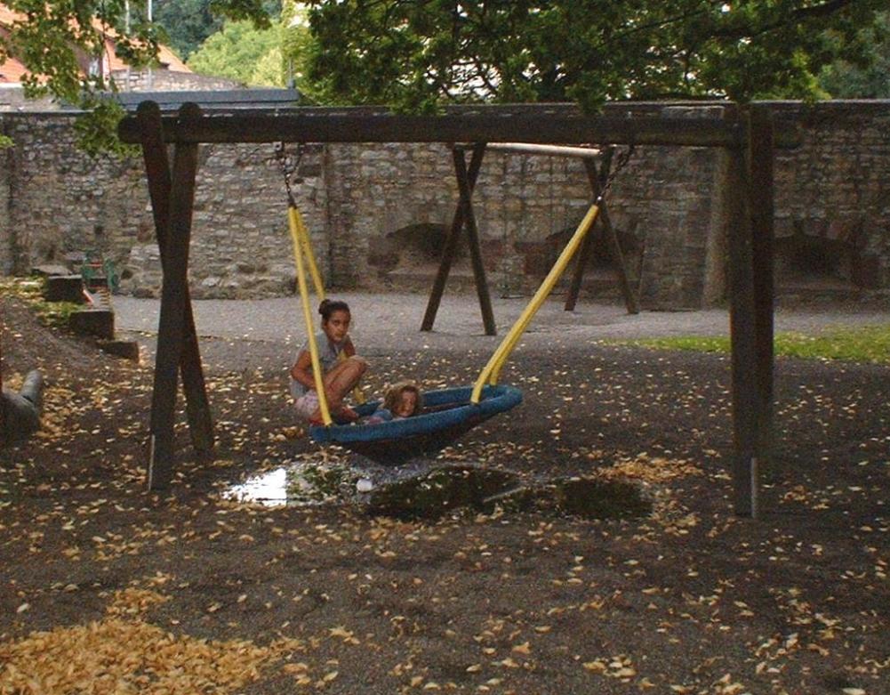 Nestschaukel